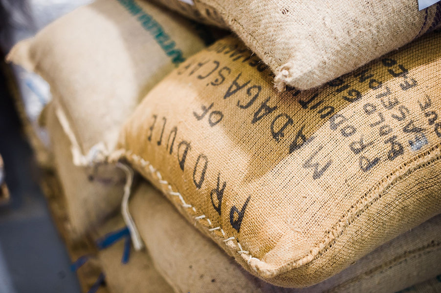 Cacao Beans from Madagascar: A Craft Chocolate Makers Favourite